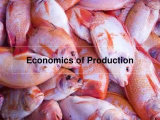Economics of Production