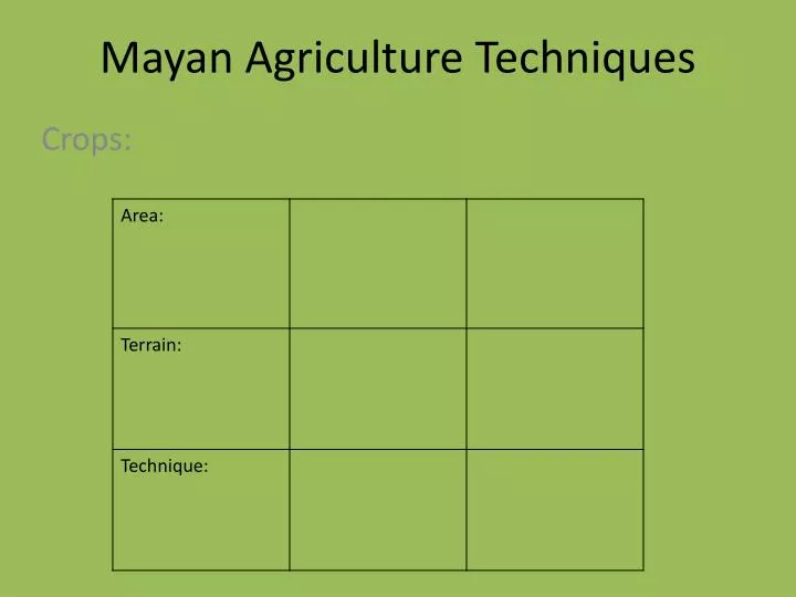 mayan agriculture techniques