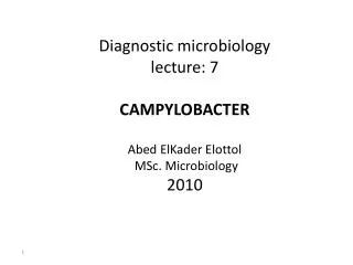 Diagnostic microbiology lecture: 7 CAMPYLOBACTER Abed ElKader Elottol MSc. Microbiology 2010