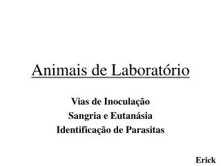 animais de laborat rio