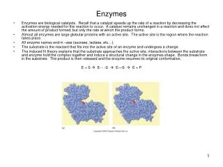 enzymes
