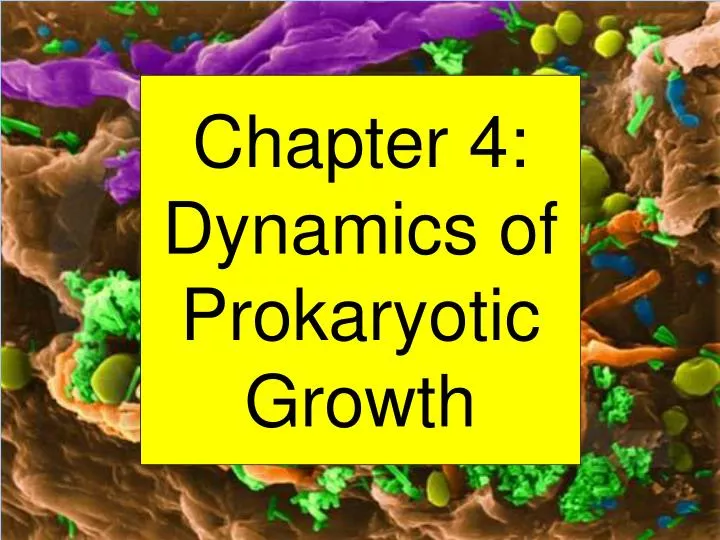 chapter 4 dynamics of prokaryotic growth