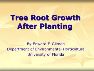 Tree Root Growth After Planting