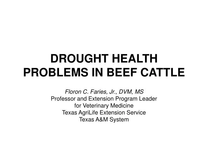 drought health problems in beef cattle
