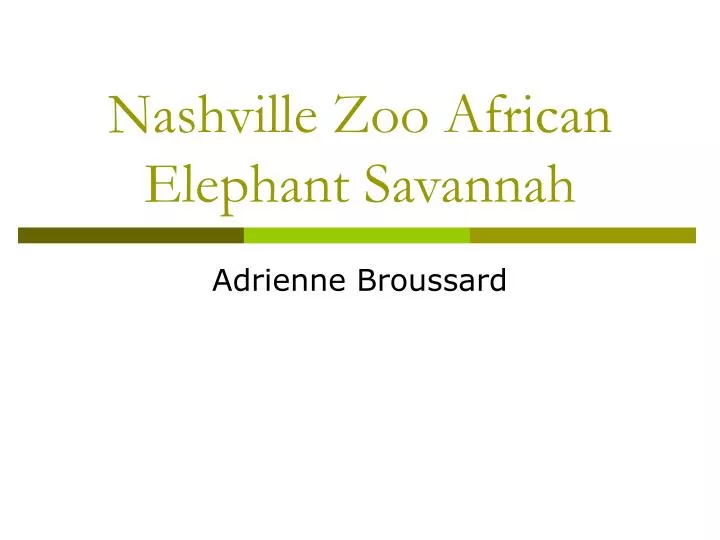 nashville zoo african elephant savannah