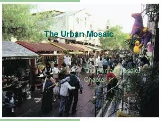The Urban Mosaic