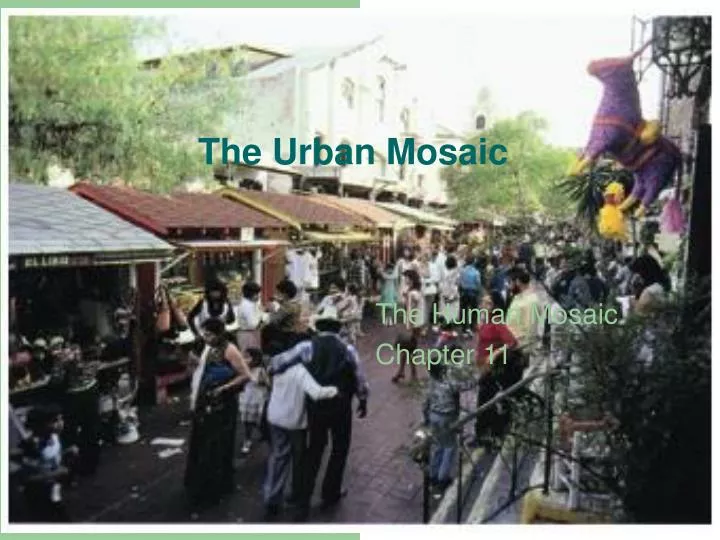 the urban mosaic