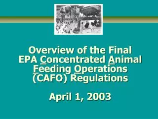 Overview of the Final EPA C oncentrated A nimal F eeding O perations (CAFO) Regulations April 1, 2003