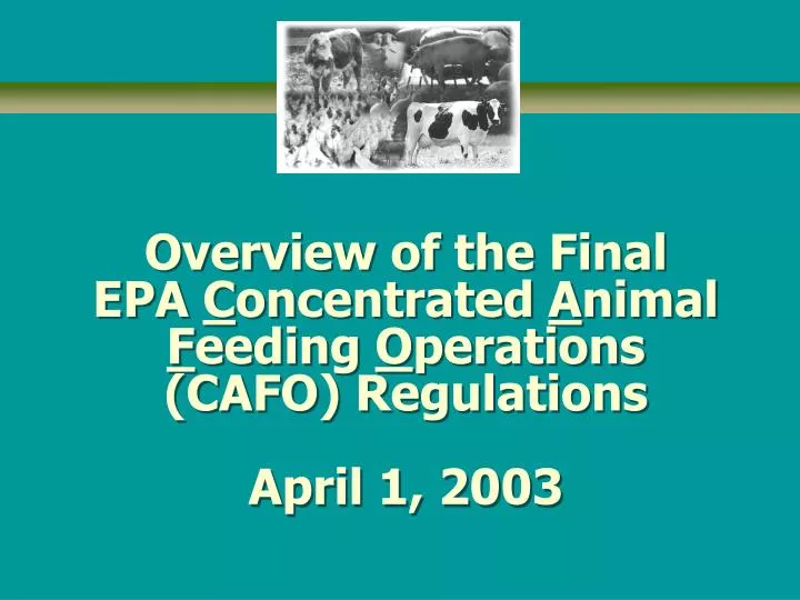 overview of the final epa c oncentrated a nimal f eeding o perations cafo regulations april 1 2003