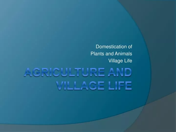 domestication of plants and animals village life