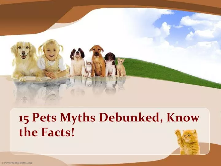 15 pets myths debunked know the facts