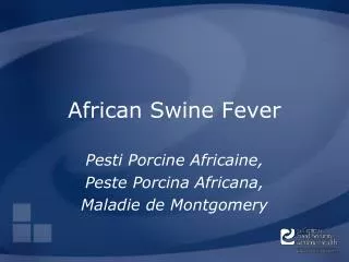 African Swine Fever