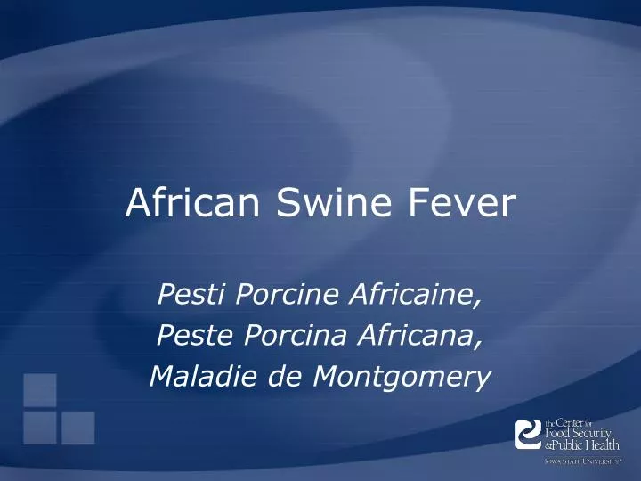 african swine fever