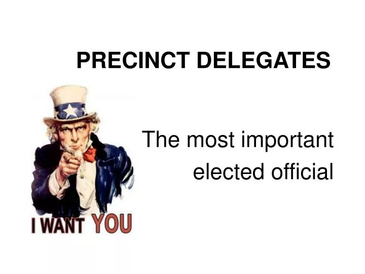 precinct delegates