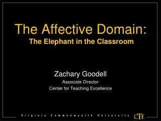 The Affective Domain: The Elephant in the Classroom