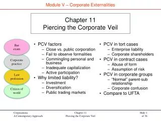 Chapter 11 Piercing the Corporate Veil