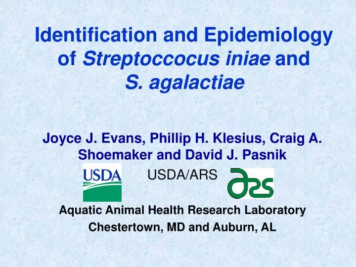 identification and epidemiology of streptoccocus iniae and s agalactiae