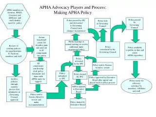 APHA Advocacy Players and Process: Making APHA Policy