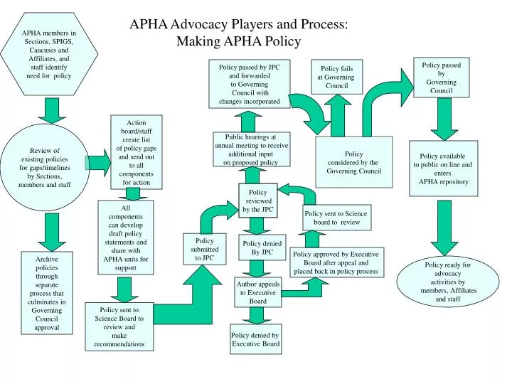 apha advocacy players and process making apha policy
