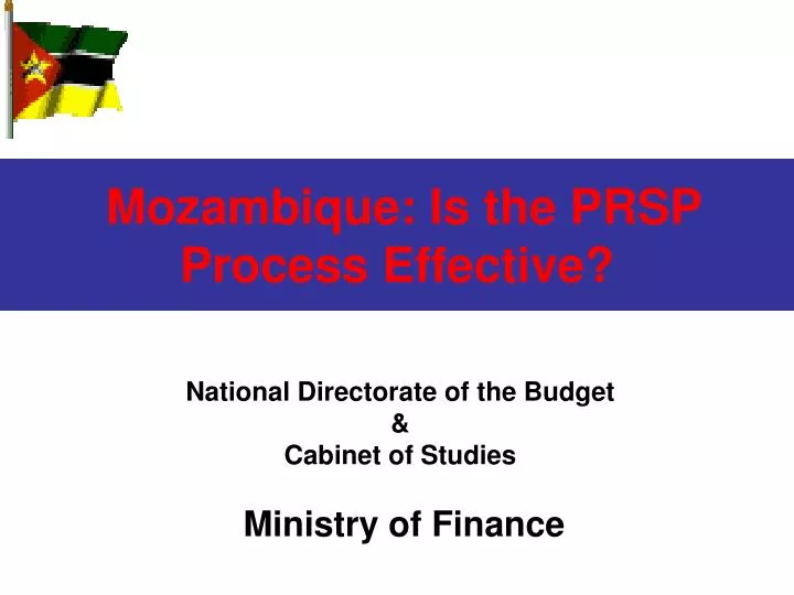 mozambique is the prsp process effective