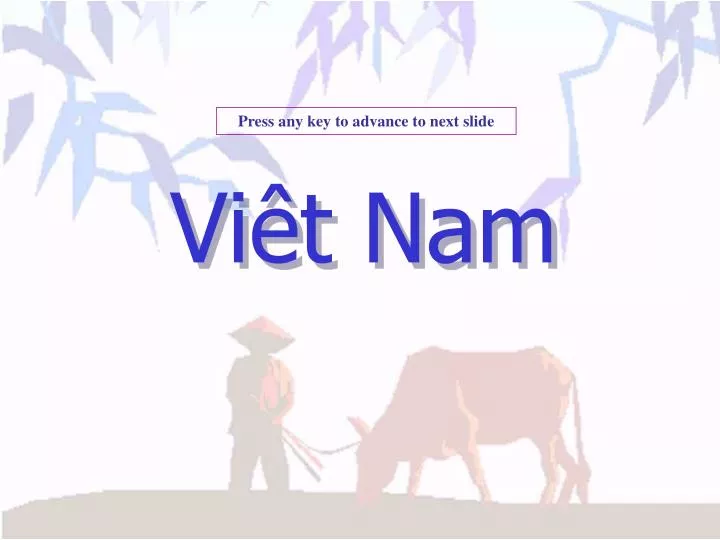 vi t nam