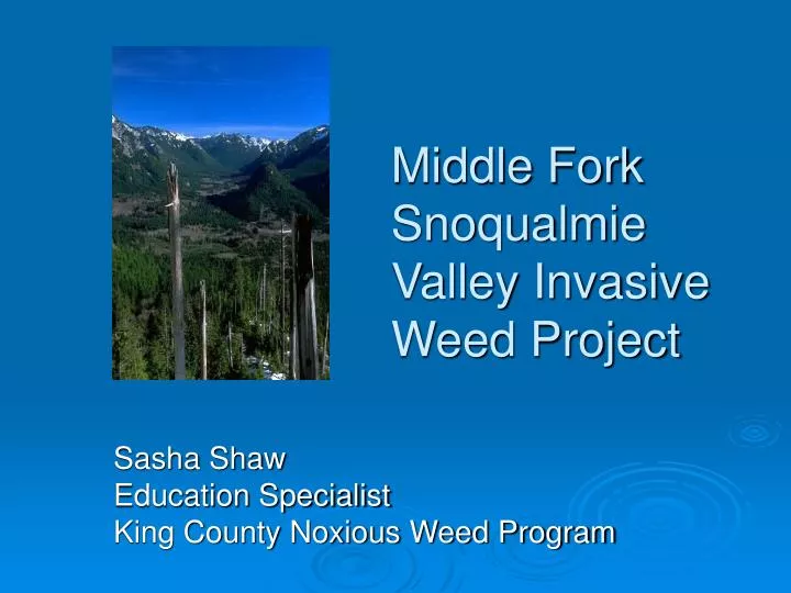 middle fork snoqualmie valley invasive weed project