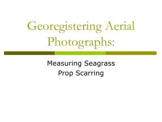 Georegistering Aerial Photographs: