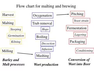 Flow chart for malting and brewing