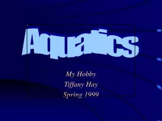 My Hobby Tiffany Hay Spring 1999