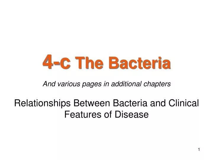 4 c the bacteria