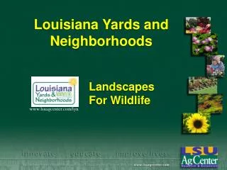 Louisiana Yards and Neighborhoods