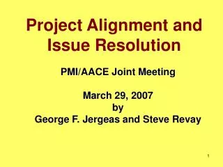 Project Alignment and Issue Resolution