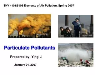 Particulate Pollutants