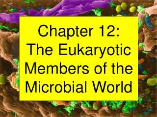 Chapter 12: The Eukaryotic Members of the Microbial World