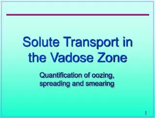 Solute Transport in the Vadose Zone