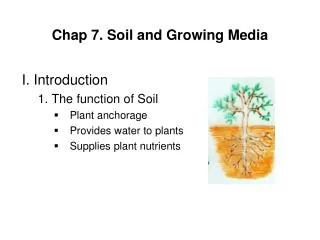 Chap 7. Soil and Growing Media