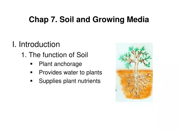 chap 7 soil and growing media