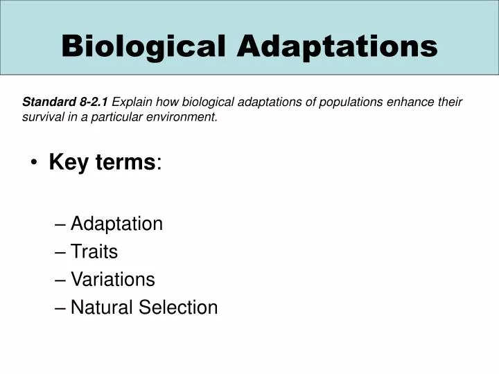 biological adaptations