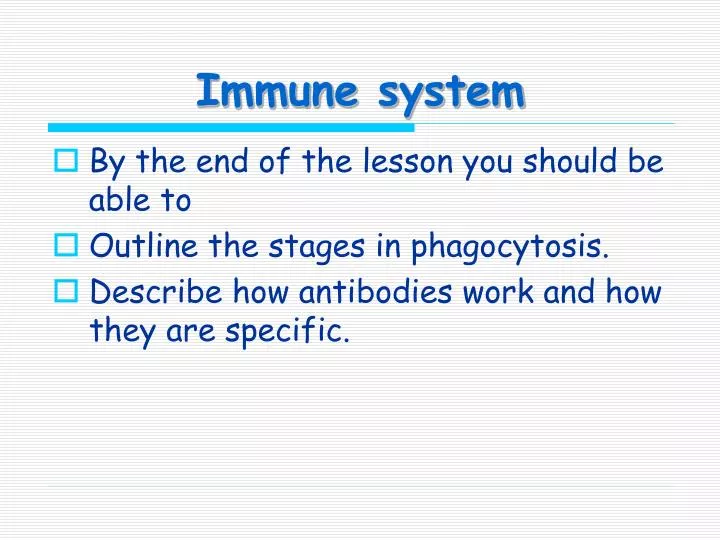 immune system