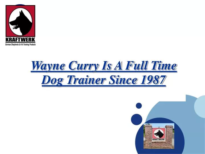 wayne curry is a full time dog trainer since 1987