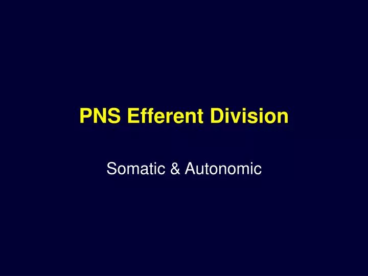 pns efferent division