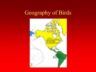 Geography of Birds