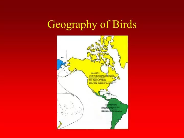 geography of birds