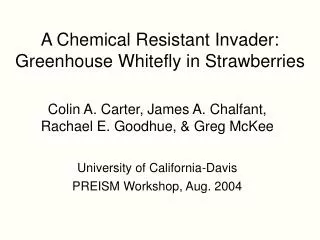 A Chemical Resistant Invader: Greenhouse Whitefly in Strawberries