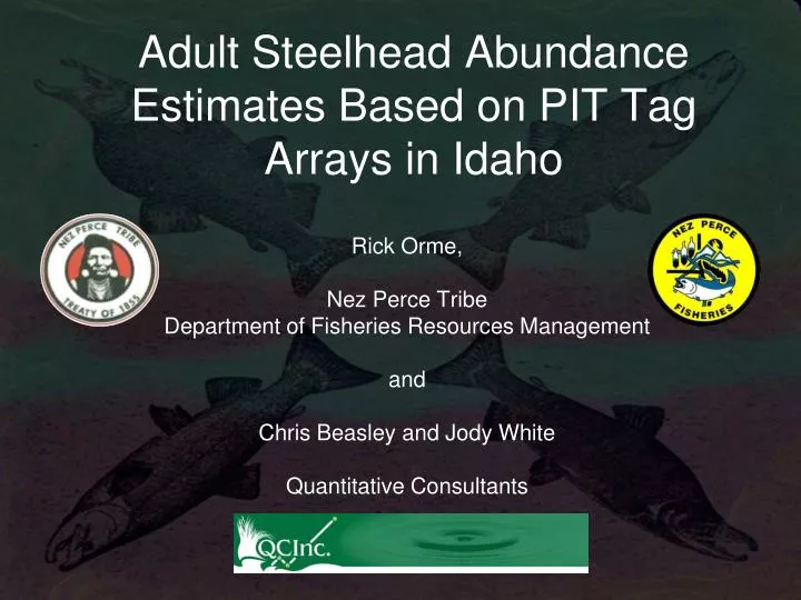 adult steelhead abundance estimates based on pit tag arrays in idaho