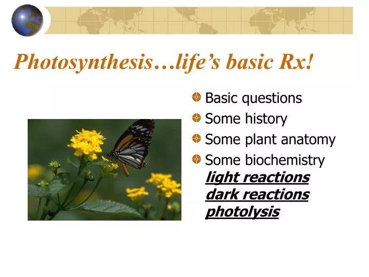 photosynthesis life s basic rx