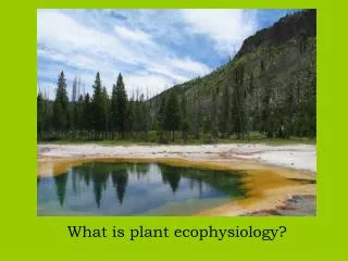 What is plant ecophysiology?