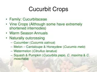 Cucurbit Crops