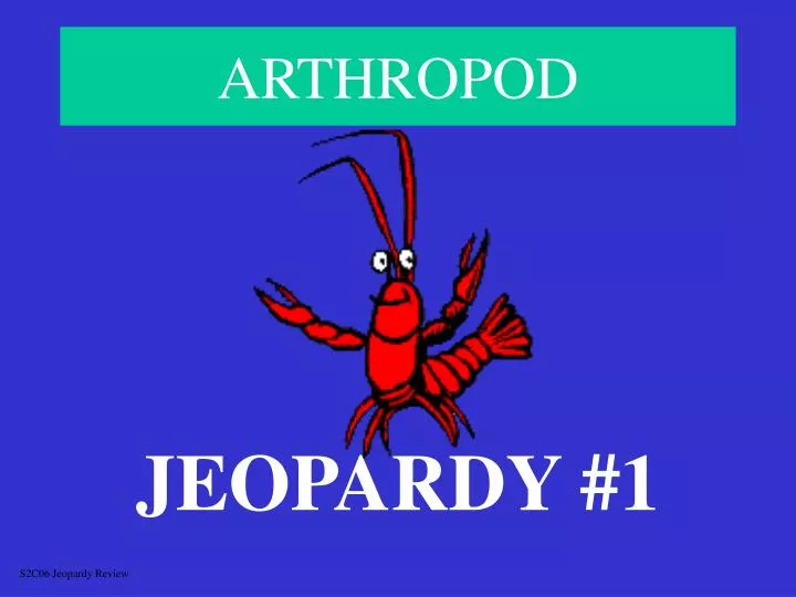 arthropod