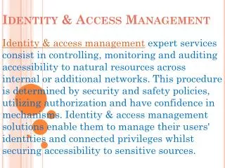 identity access management framework